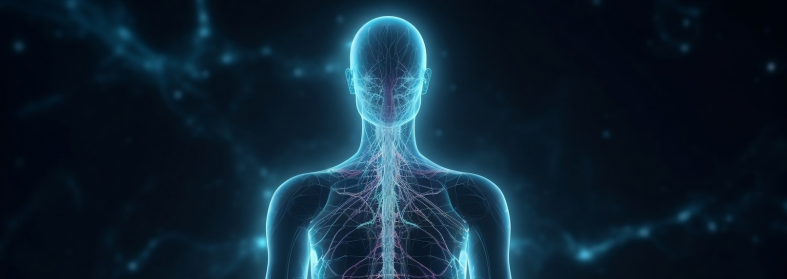Body with nervous system